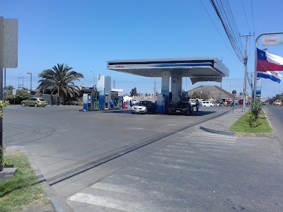 Photos of COPEC