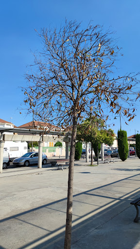 Bulevar Sur - Visual