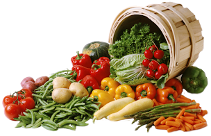 Photo n°19 de Au Panier Bio à Saint-Arnoult (Cave à vins)