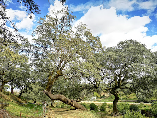Sendero de Belén - Thumbnail
