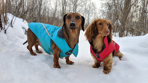 Val Caron Animal Hospital