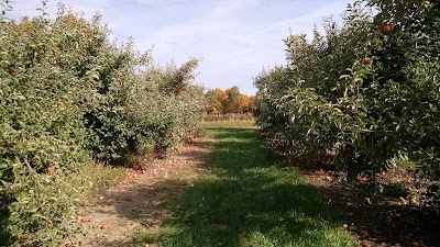 Photos of Kimball's Fruit Farm Stand