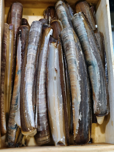 Peixos Eva Gallery - Spain