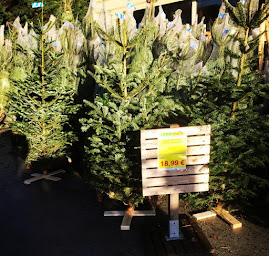 Photo n°46 de Jardiprix à Saint-Léger-de-Linières (Jardinerie)
