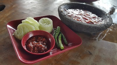 Photos of Barramundi