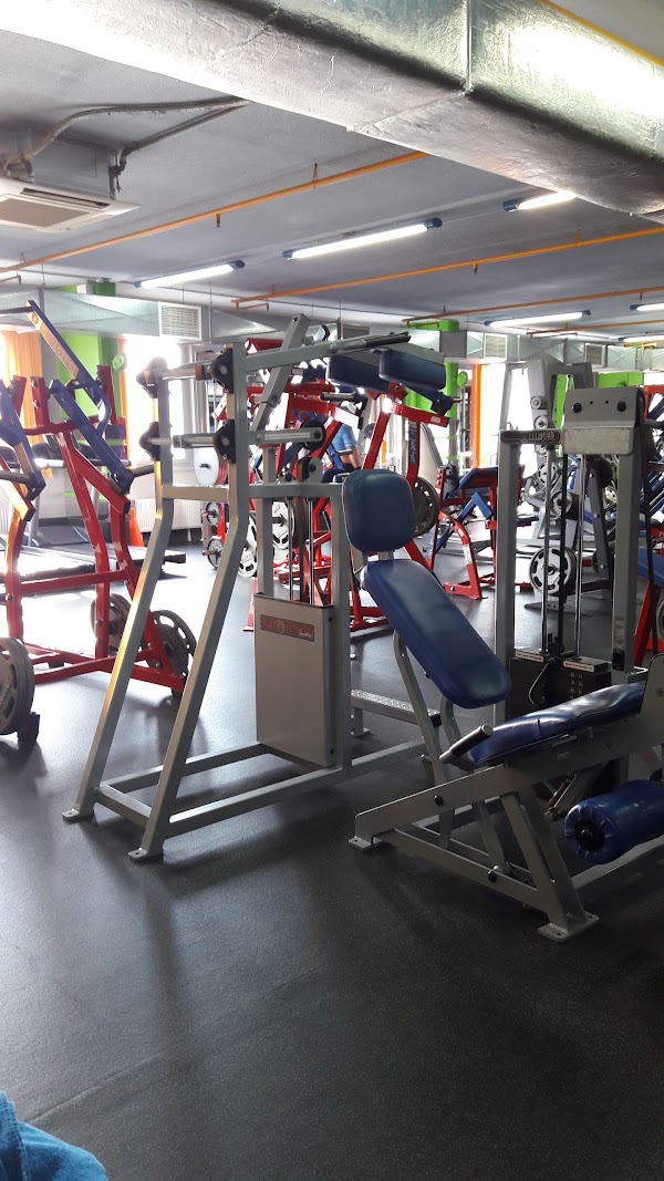 Спортлайф спб