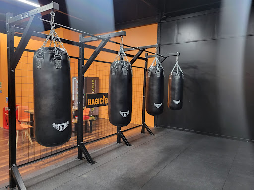 Basic Gym - Visual