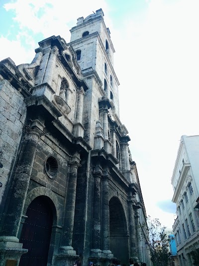 Photos of St. Francisco de As&iacute;s Basilica