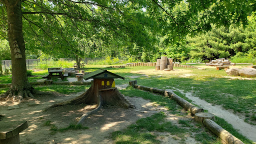 Nature Play - Visual