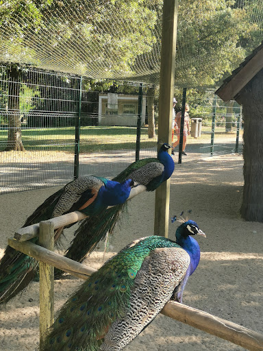 parc animalier - Thumbnail
