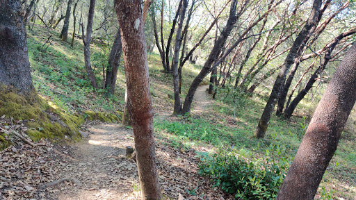 Canyon Creek Trail - Thumbnail