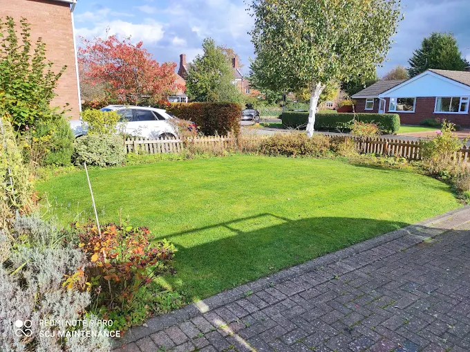 Outdoor upkeep by SCJ Landscapes and Garden Maintenance