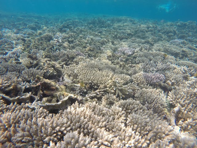 Îles Perhentian