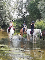 Photo n°4 de Ecuries de Suisnes Poney Club à Grisy-Suisnes (Centre équestre)