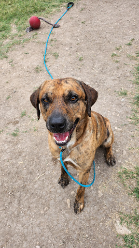 Kerr County Animal Control & Shelter - Thumbnail