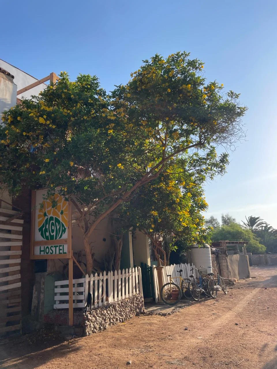 Tecoma hostel