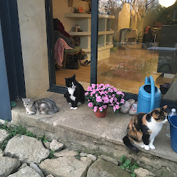 Photo n°22 de Gîte Nature, havre de paix au coeur de la nature : Les Jardins d'Yzorche à Argentat-sur-Dordogne (Réserve naturelle)