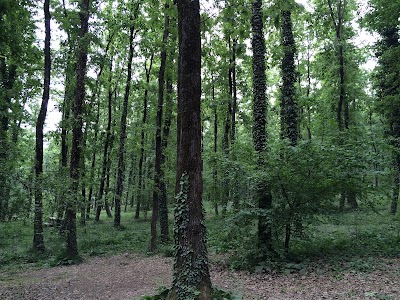 Photos of Avcıkoru Mesire Yeri