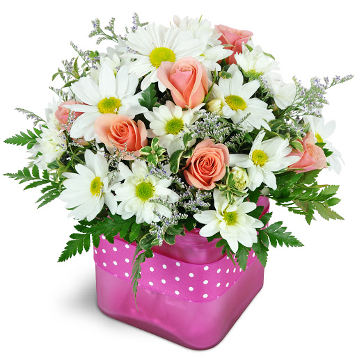 Michelle's Florals - Visual