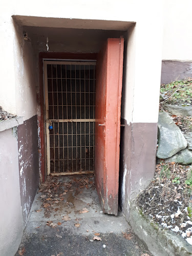 Wolności 2C, 57-540 Lądek-Zdrój, Polska
