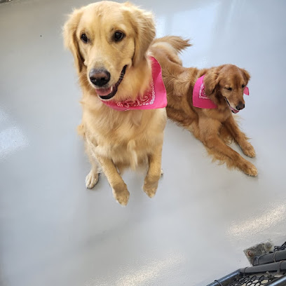 Seattle Canine Club - South Lake Union