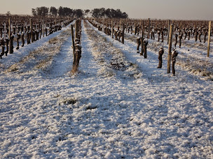 Photo n°13 de Société Alain Lanneau à Jau-Dignac-et-Loirac (Magasin de vins et spiritueux)
