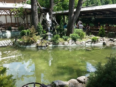 Photos of National restaurant Cardak