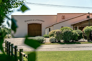 Photo n°2 de Vignoble Cogné à Orée d'Anjou (Attraction touristique)
