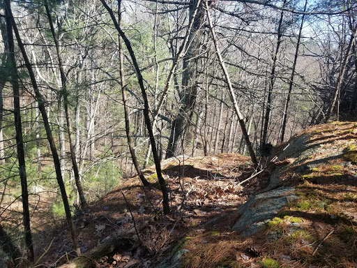 Warner Trail - Visual