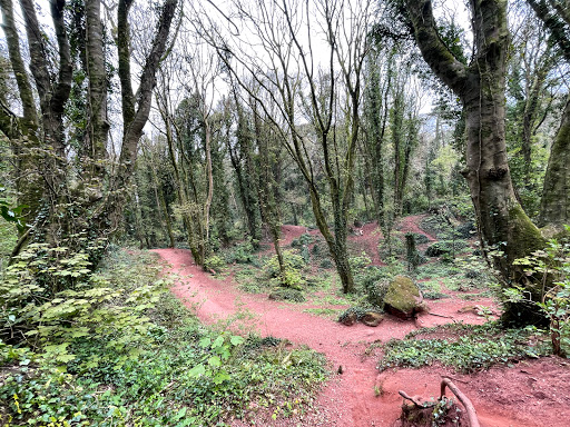 Watcombe Cliffs - Visual