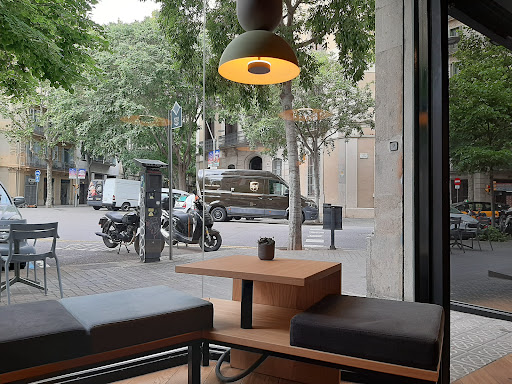 SAGA Coffee Stories - Thumbnail