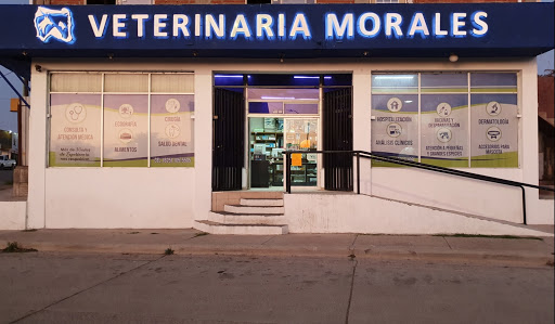 Clínica Veterinaria Morales