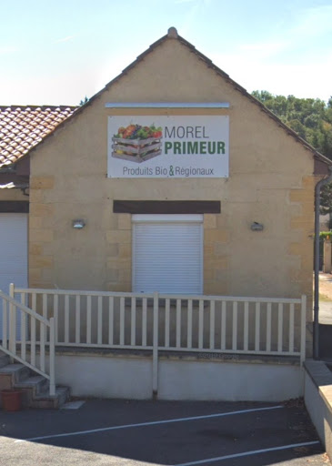 Morel Primeur