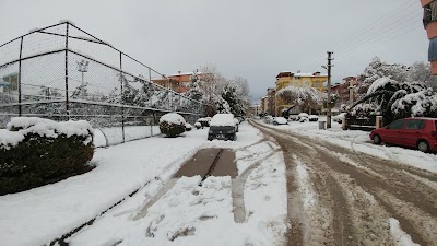 Basketbol Sahası