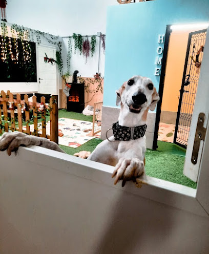 HOTEL CANINO Y GUARDERÍA DE DÍA EN SAN SEBASTIÁN / BOX TXAKURRENEA