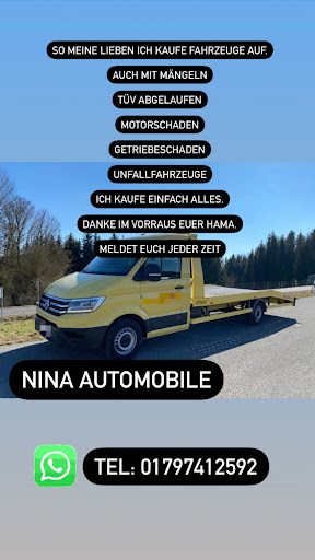 Nina Automobile - Thumbnail