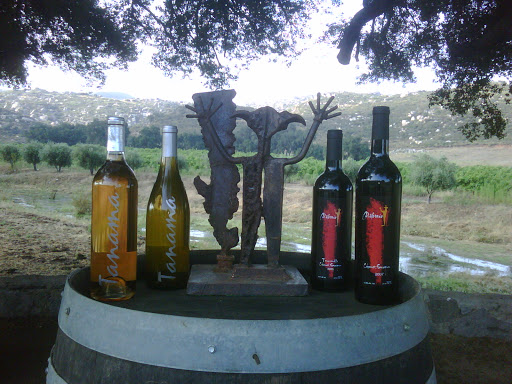 Don Ricardo Cava Tasting Wine Tasting Rumorosa - Thumbnail