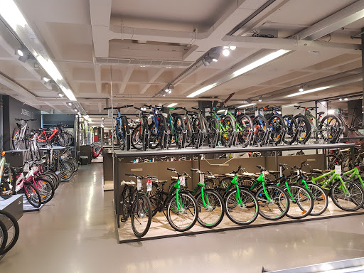 Fahrrad XXL Meinhövel Gelsenkirchen - Thumbnail