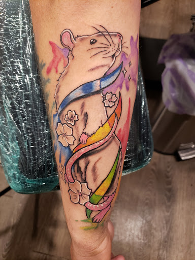 ELEMENT iNK - Visual