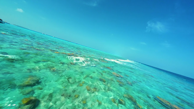 Sun Siyam Vilu Reef by null