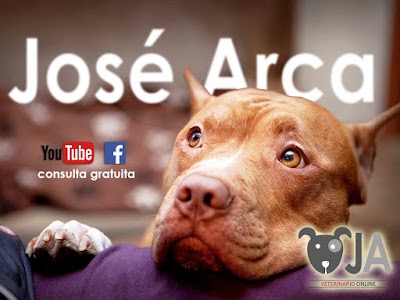 Photos of VETERINARIA Dr. Arca