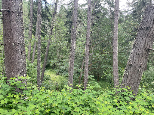 Howard Buford Park - Thumbnail