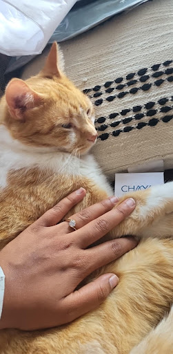 Chaya Studio Jewelry - Thumbnail