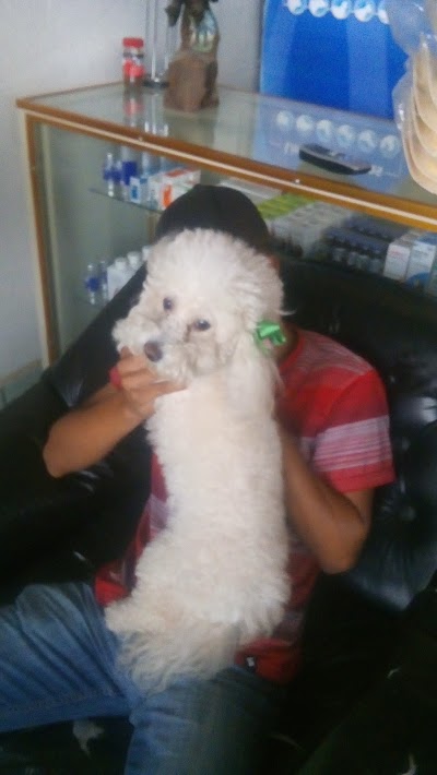 Photos of Purina