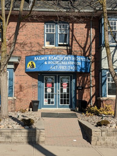 Balmy Beach Pet Hospital - Thumbnail