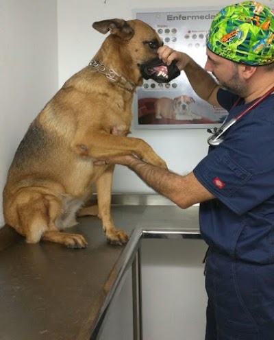 Photos of IMPACTO ANIMAL