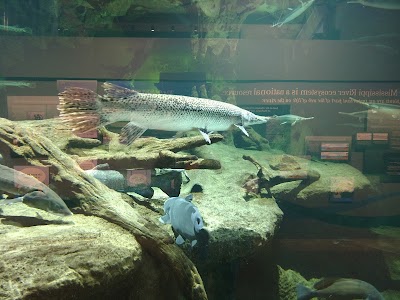 National Mississippi River Museum & Aquarium