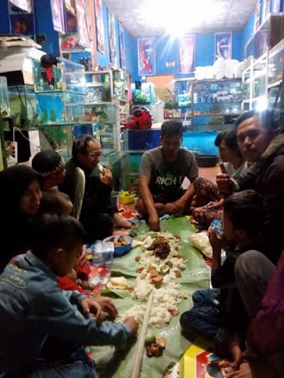 Photos of AA Aquarium