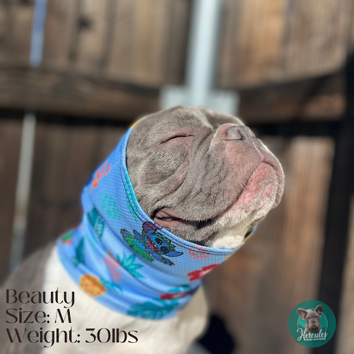 Hercules Dog Gaiters - Thumbnail