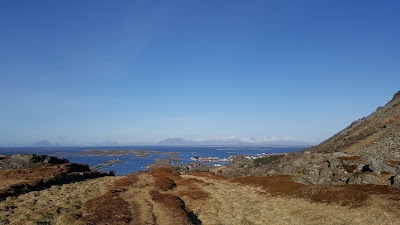 Photos of Puffin Colony at Lovund